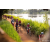 Team 16 / Raid Amazones Sri Lanka 2022 - J3 Bike Run