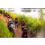 Team 16 / Raid Amazones Sri Lanka 2022 - J3 Bike Run