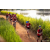 Team 15 / Raid Amazones Sri Lanka 2022 - J3 Bike Run