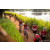 Team 15 / Raid Amazones Sri Lanka 2022 - J3 Bike Run