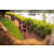 Team 06 / Raid Amazones Sri Lanka 2022 - J3 Bike Run