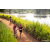 Team 48 / Raid Amazones Sri Lanka 2022 - J3 Bike Run