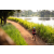 Team 56 / Raid Amazones Sri Lanka 2022 - J3 Bike Run