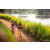 Team 86 / Raid Amazones Sri Lanka 2022 - J3 Bike Run