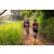 Team 33 / Raid Amazones Sri Lanka 2022 - J3 Bike Run