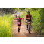 Team 60 / Raid Amazones Sri Lanka 2022 - J3 Bike Run