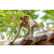 Raid Amazones Sri Lanka 2022 - J4 Chasse Tresor