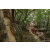 Raid Amazones Sri Lanka 2022 - J4 Chasse Tresor