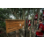Raid Amazones Sri Lanka 2022 - J4 Chasse Tresor