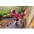 Raid Amazones Sri Lanka 2022 - J4 Chasse Tresor