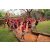 Raid Amazones Sri Lanka 2022 - J4 Chasse Tresor