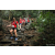 Raid Amazones Sri Lanka 2022 - J4 Chasse Tresor