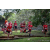 Raid Amazones Sri Lanka 2022 - J4 Chasse Tresor