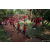 Raid Amazones Sri Lanka 2022 - J4 Chasse Tresor