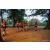 Raid Amazones Sri Lanka 2022 - J4 Chasse Tresor