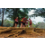 Raid Amazones Sri Lanka 2022 - J4 Chasse Tresor