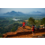 Raid Amazones Sri Lanka 2022 - J4 Chasse Tresor