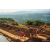 Raid Amazones Sri Lanka 2022 - J4 Chasse Tresor