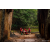 Raid Amazones Sri Lanka 2022 - J4 Chasse Tresor