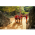 Raid Amazones Sri Lanka 2022 - J4 Chasse Tresor