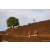Raid Amazones Sri Lanka 2022 - J4 Chasse Tresor