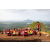 Raid Amazones Sri Lanka 2022 - J4 Chasse Tresor