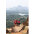 Raid Amazones Sri Lanka 2022 - J4 Chasse Tresor