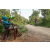 Team 331 / Raid Amazones Sri Lanka 2022 - J5 VTT