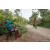 Team 25 / Raid Amazones Sri Lanka 2022 - J5 VTT