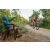 Team 65 / Raid Amazones Sri Lanka 2022 - J5 VTT