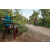 Team 02 / Raid Amazones Sri Lanka 2022 - J5 VTT