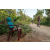 Team 38 / Raid Amazones Sri Lanka 2022 - J5 VTT