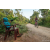 Team 38 / Raid Amazones Sri Lanka 2022 - J5 VTT