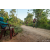 Team 326 / Raid Amazones Sri Lanka 2022 - J5 VTT