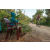 Team 325 / Raid Amazones Sri Lanka 2022 - J5 VTT