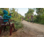 Team 309 / Raid Amazones Sri Lanka 2022 - J5 VTT