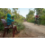 Team 302 / Raid Amazones Sri Lanka 2022 - J5 VTT