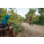 Team 34 / Raid Amazones Sri Lanka 2022 - J5 VTT