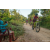 Team 333 / Raid Amazones Sri Lanka 2022 - J5 VTT