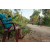 Team 21 / Raid Amazones Sri Lanka 2022 - J5 VTT