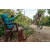 Team 306 / Raid Amazones Sri Lanka 2022 - J5 VTT