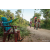 Team 76 / Raid Amazones Sri Lanka 2022 - J5 VTT