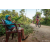 Team 316 / Raid Amazones Sri Lanka 2022 - J5 VTT