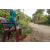 Team 31 / Raid Amazones Sri Lanka 2022 - J5 VTT