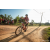 Team 27 / Raid Amazones Sri Lanka 2022 - J5 VTT