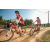Team 47 / Raid Amazones Sri Lanka 2022 - J5 VTT