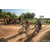 Team 331 / Raid Amazones Sri Lanka 2022 - J5 VTT