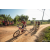 Team 304 / Raid Amazones Sri Lanka 2022 - J5 VTT