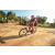 Team 77 / Raid Amazones Sri Lanka 2022 - J5 VTT