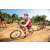 Team 77 / Raid Amazones Sri Lanka 2022 - J5 VTT